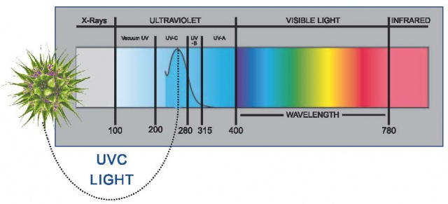 Stérilisateur UV avec plusieurs options pour industrie