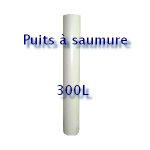 Puis pour aspiration dans un bac à sel 300L Puis pour aspiration dans un bac à sel 300L